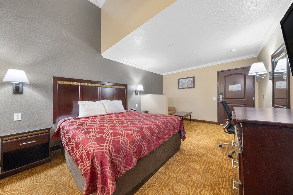 1 King Bed 1 Room Suite